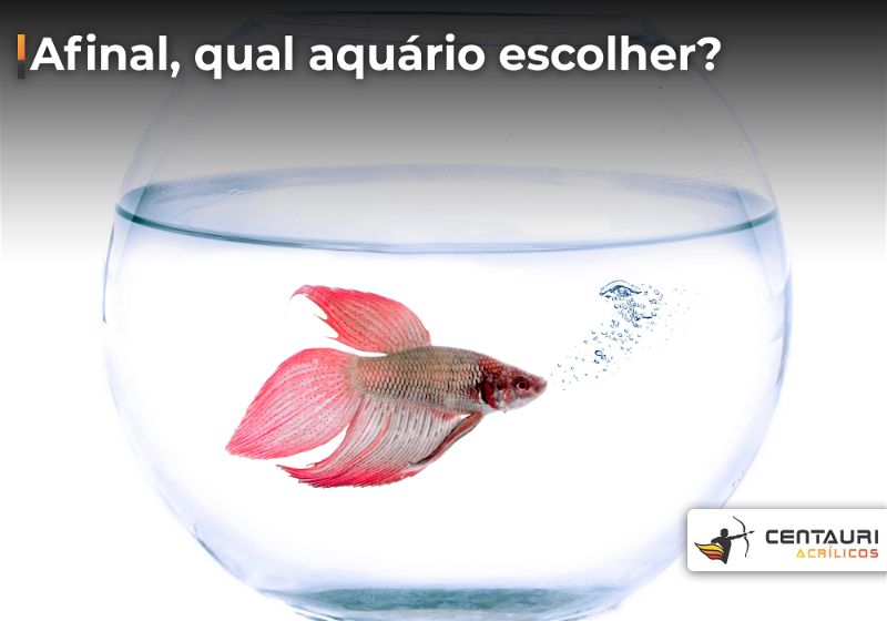 Aquário redondo de vidro com peixe de coloração avermelhada dentro