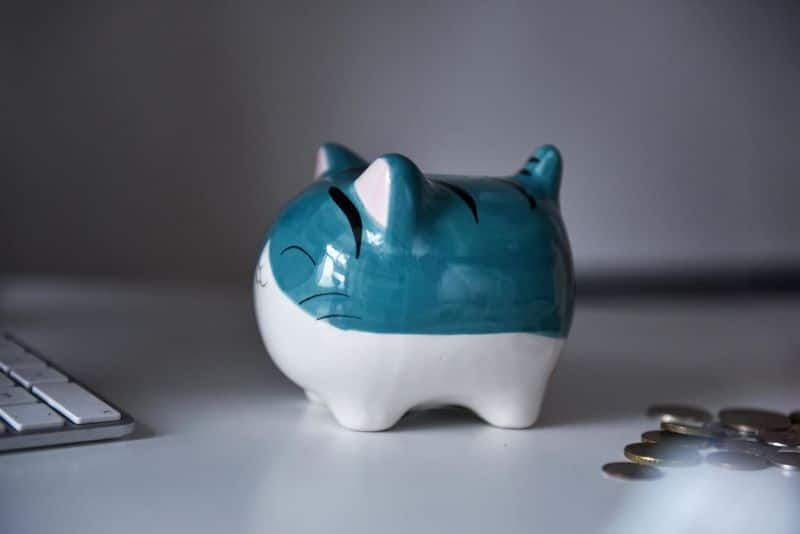 Bichinho de cerâmica na cores azul e branca para decoração de ambientes