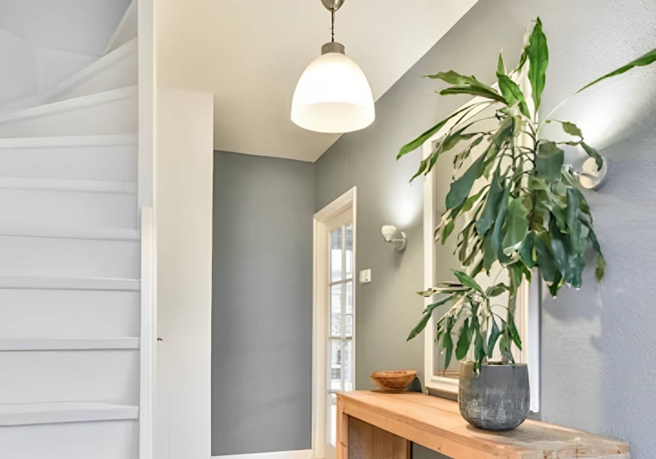 decoração de interiores com vasos de plantas e luminária