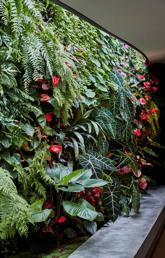 Jardim vertical